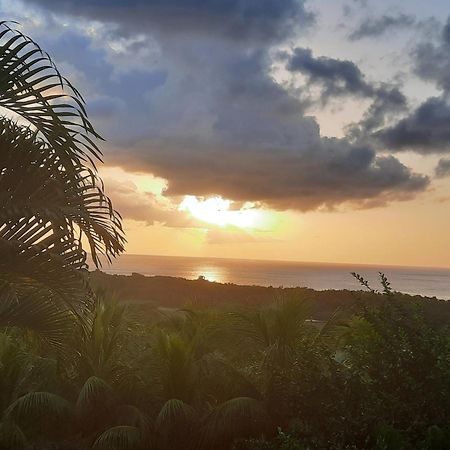 Oasis De Grande Anse Villa Deshaies Kültér fotó