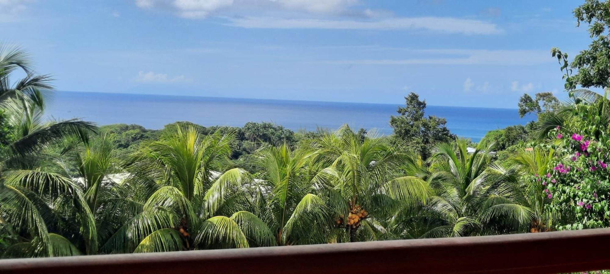 Oasis De Grande Anse Villa Deshaies Kültér fotó