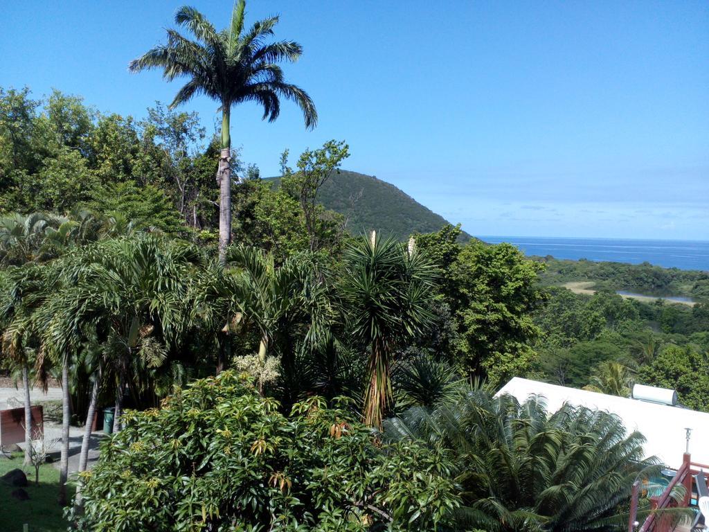 Oasis De Grande Anse Villa Deshaies Kültér fotó