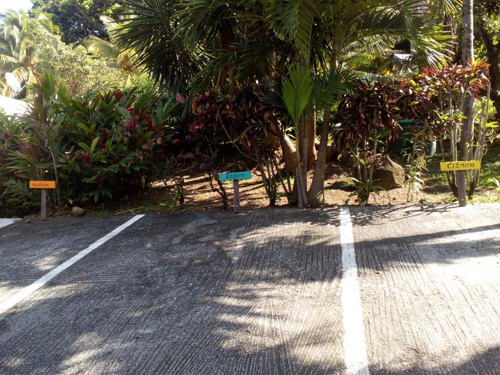 Oasis De Grande Anse Villa Deshaies Kültér fotó