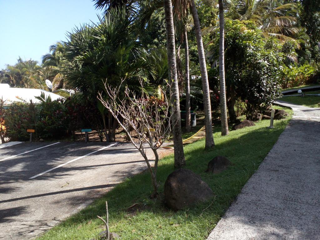 Oasis De Grande Anse Villa Deshaies Kültér fotó