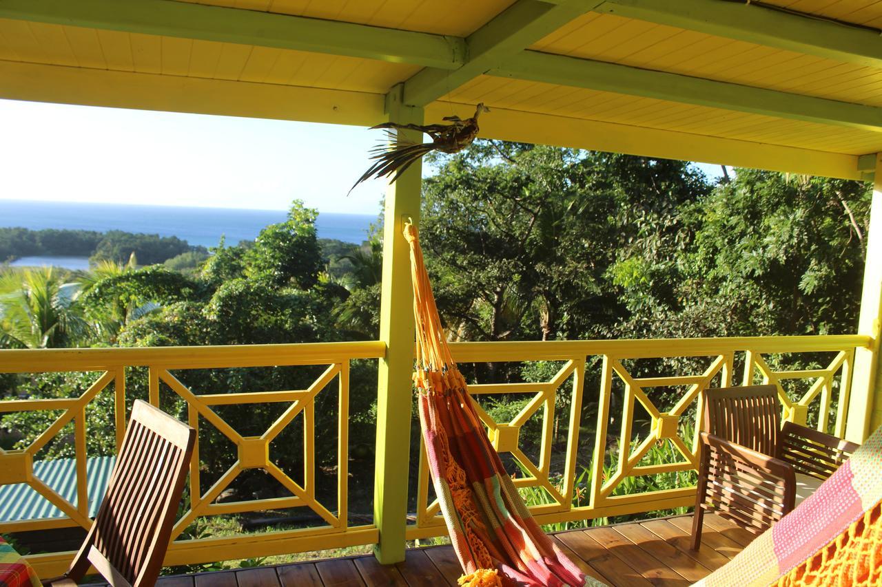 Oasis De Grande Anse Villa Deshaies Kültér fotó