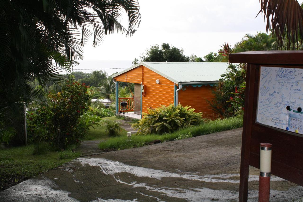 Oasis De Grande Anse Villa Deshaies Kültér fotó
